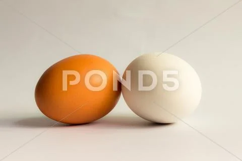 Eggs Isolated On White Background