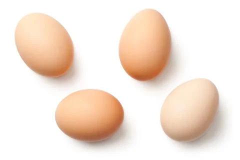 Eggs Isolated on White Background Stock Photos