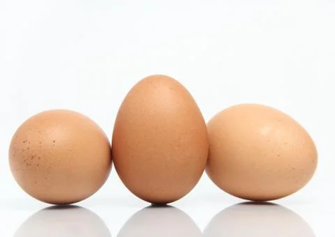 Eggs isolated on white background Stock Photos