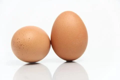 Eggs isolated on white background Stock Photos