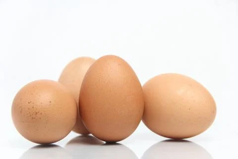 Eggs isolated on white background Stock Photos