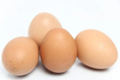 Eggs isolated on white background Stock Photos