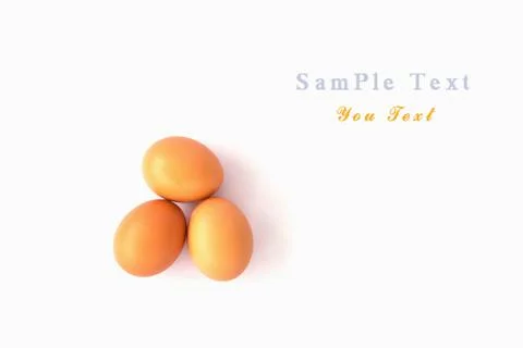 Eggs isolated on white background Stock Photos