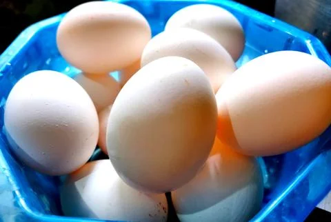 Eggs kept in a plastic basket selective focus Stock Photos