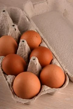 Eggs lay in egg pan. Stock Photos