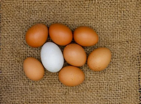Eggs laying on burlap sack surface Stock Photos