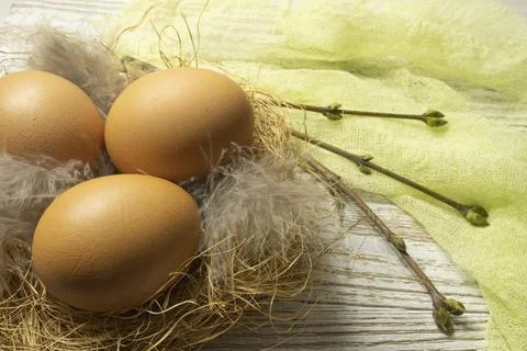 The eggs lie in a nest on the table. Stock Photos