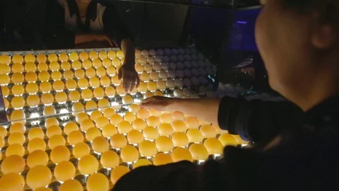 Eggs in lighting control quality in egg factory - selective focus Stock Footage 71315038