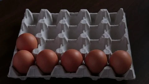 Eggs loopable animation. Appearance and disappearance of eggs in egg carton Stock Footage 76574923
