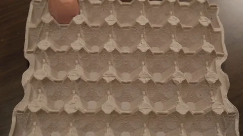 Eggs loopable animation. Appearance and disappearance of eggs in egg carton Stock Footage 84731753