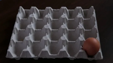 Eggs loopable animation. Appearance of eggs in egg carton 스톡 동영상 76574590