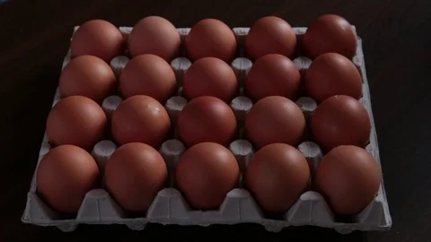 Eggs loopable animation. Disappearance of eggs in egg carton Stock Footage 76574483