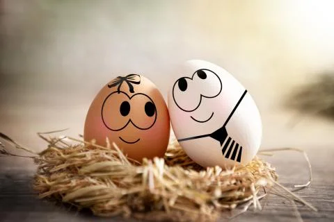 Eggs in love Stock Photos