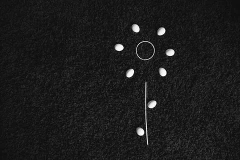 Eggs lying on the carpet. abstract flower.flat lay. easter aggs. joke Foto stock