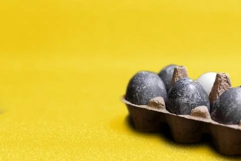 Eggs with marble stone effect painted with natural dye carcade flower on grey Foto stock