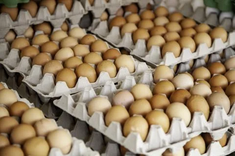 Eggs in a market Stock Photos