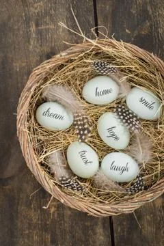 Eggs with messages Stock Photos