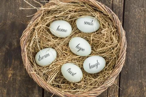 Eggs with messages Stock Photos