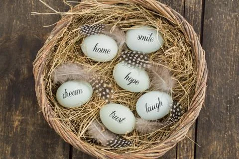 Eggs with messages Stock Photos
