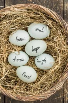 Eggs with messages Stock Photos