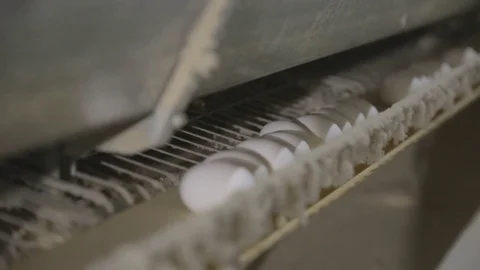 Eggs moving on the production line - selective focus Stock Footage 72528915