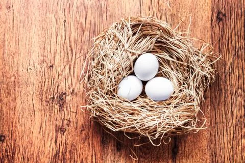 Eggs in a nest, easter composition Stock Photos