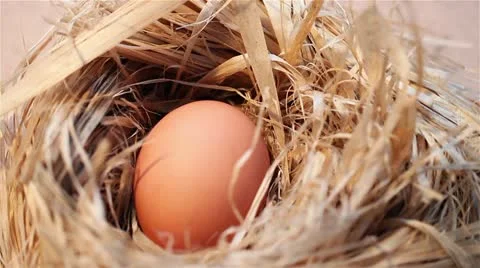 Eggs in the nest Stock Footage 21931207
