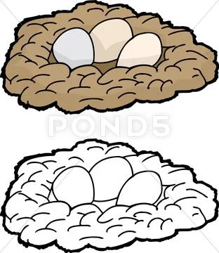 Eggs in nest Stock Illustration