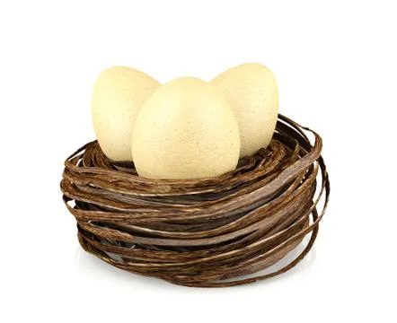 Eggs in nest Illustrazione stock