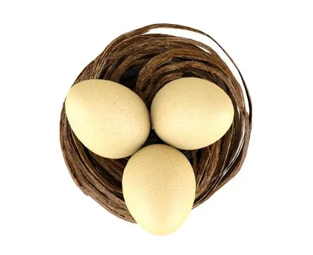 Eggs in nest Stock Illustration