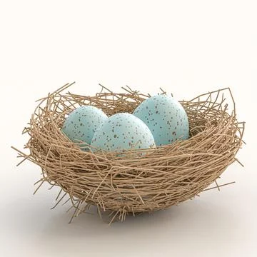 Eggs in a nest isolated on white Stock Illustration