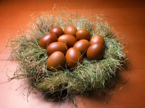 Eggs in the nest Stock Photos