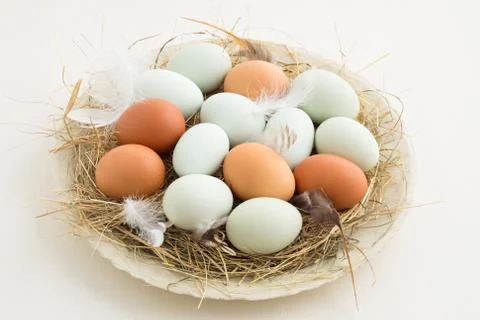 Eggs in a nest Stock Photos