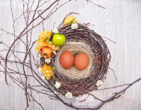 Eggs in nest 스톡 사진