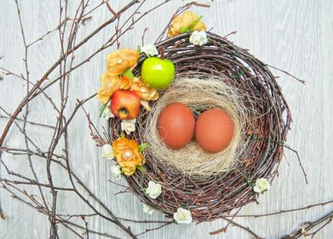 Eggs in nest Foto stock