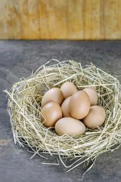 Eggs in nest Foto stock