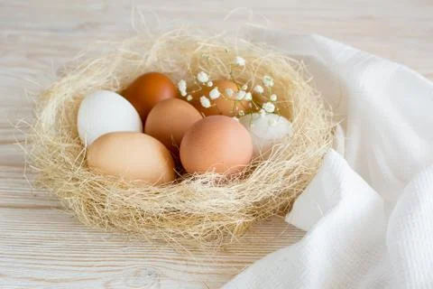 Eggs in a nest Stock Photos