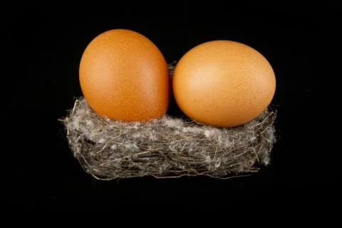 Eggs in the nest Stock Photos