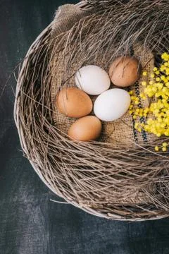 Eggs in a nest Stock Photos