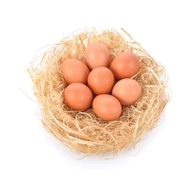 Eggs in a nest on white background Stock Photos
