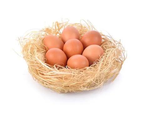 Eggs in a nest on white background Stock Photos
