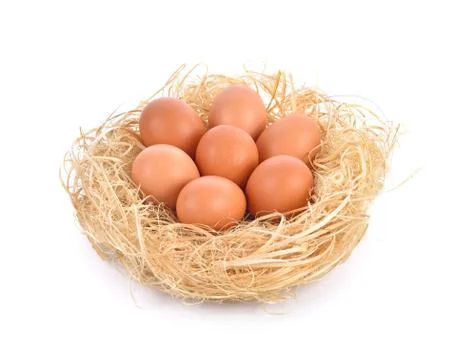 Eggs in a nest on white background Stock Photos