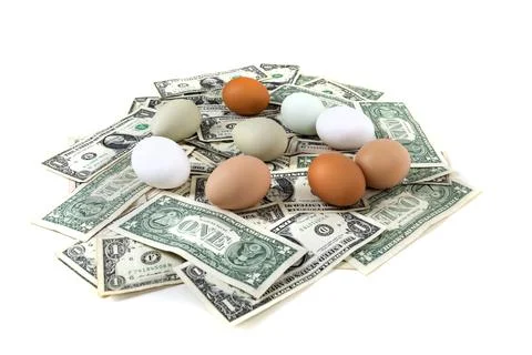 Eggs nested in a pile of cash Stock Photos