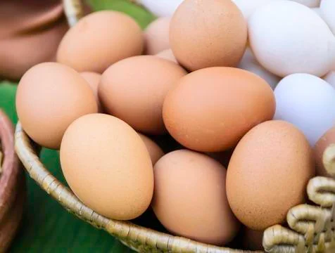 Eggs in one basket Foto stock