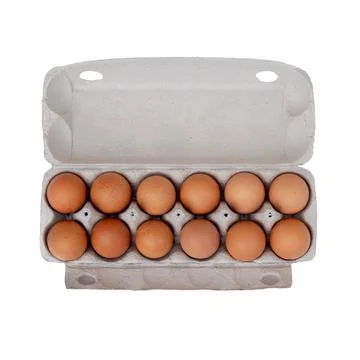 Eggs in open craft packaging Stock Photos