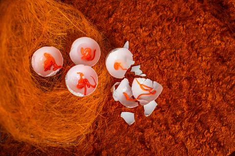 Eggs on a orange background. 库存照片