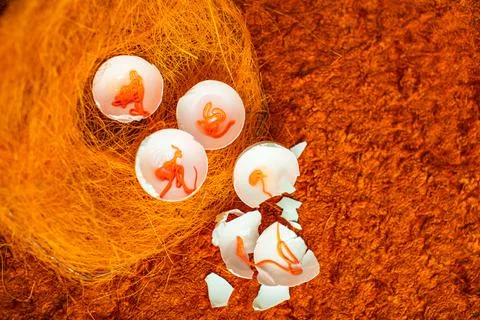 Eggs on a orange background. Stock Photos