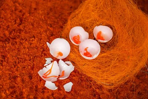 Eggs on a orange background. Foto stock