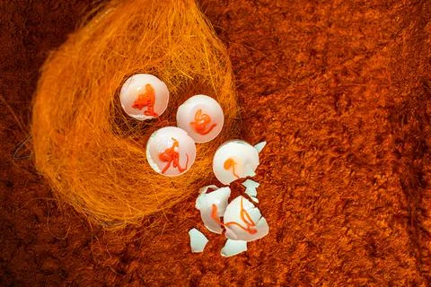 Eggs on a orange background. Stock Photos