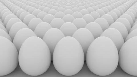 Eggs. Order, start, equality or sameness concepts. 3D rendering Stock Photos